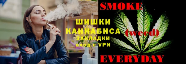 молекула духа Надым