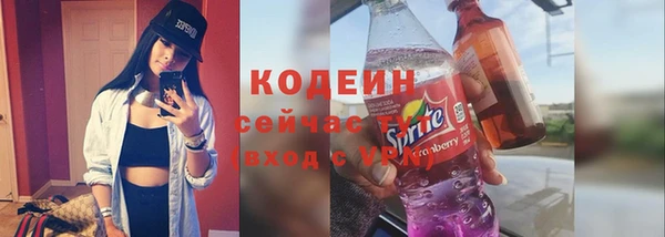 прущие грибы Михайлов
