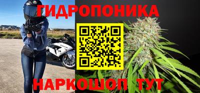 тгк Апшеронск