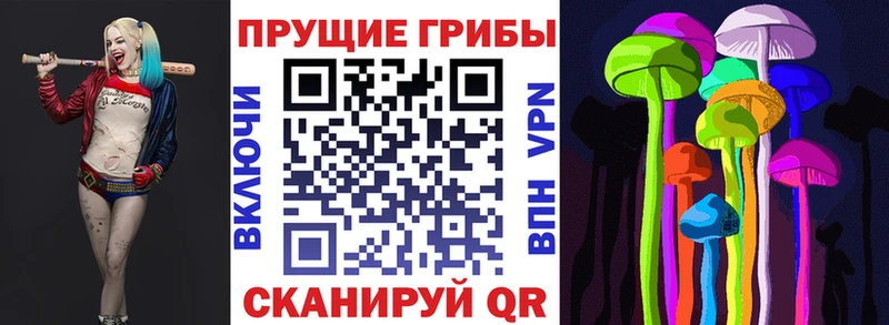 Псилоцибиновые грибы мухоморы  где продают   Тайшет 