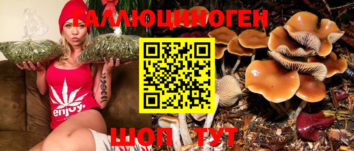 Псилоцибиновые грибы ЛСД Тайшет