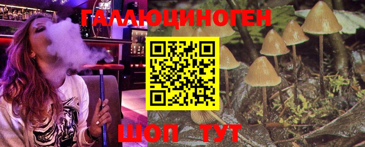 Галлюциногенные грибы мицелий  Вход с VPN  Тайшет 